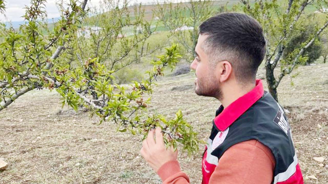 Ismail Açıkgöz Don (5)