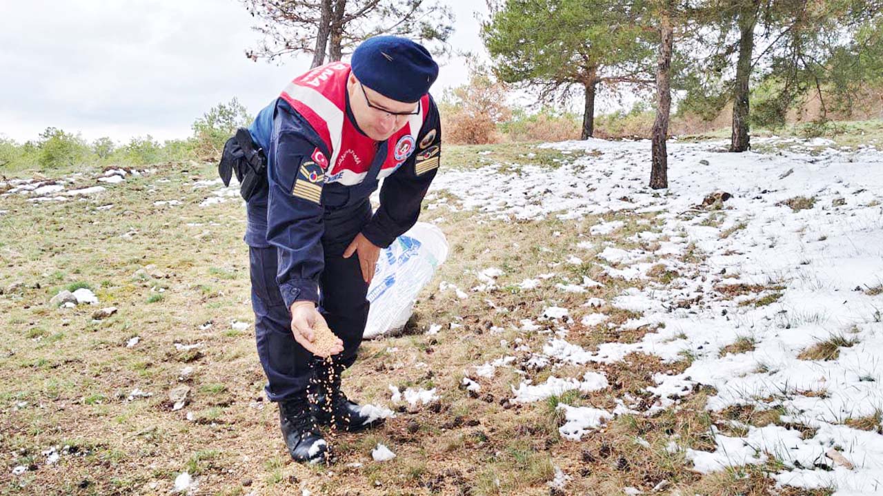 Jandarma Aylık (2)