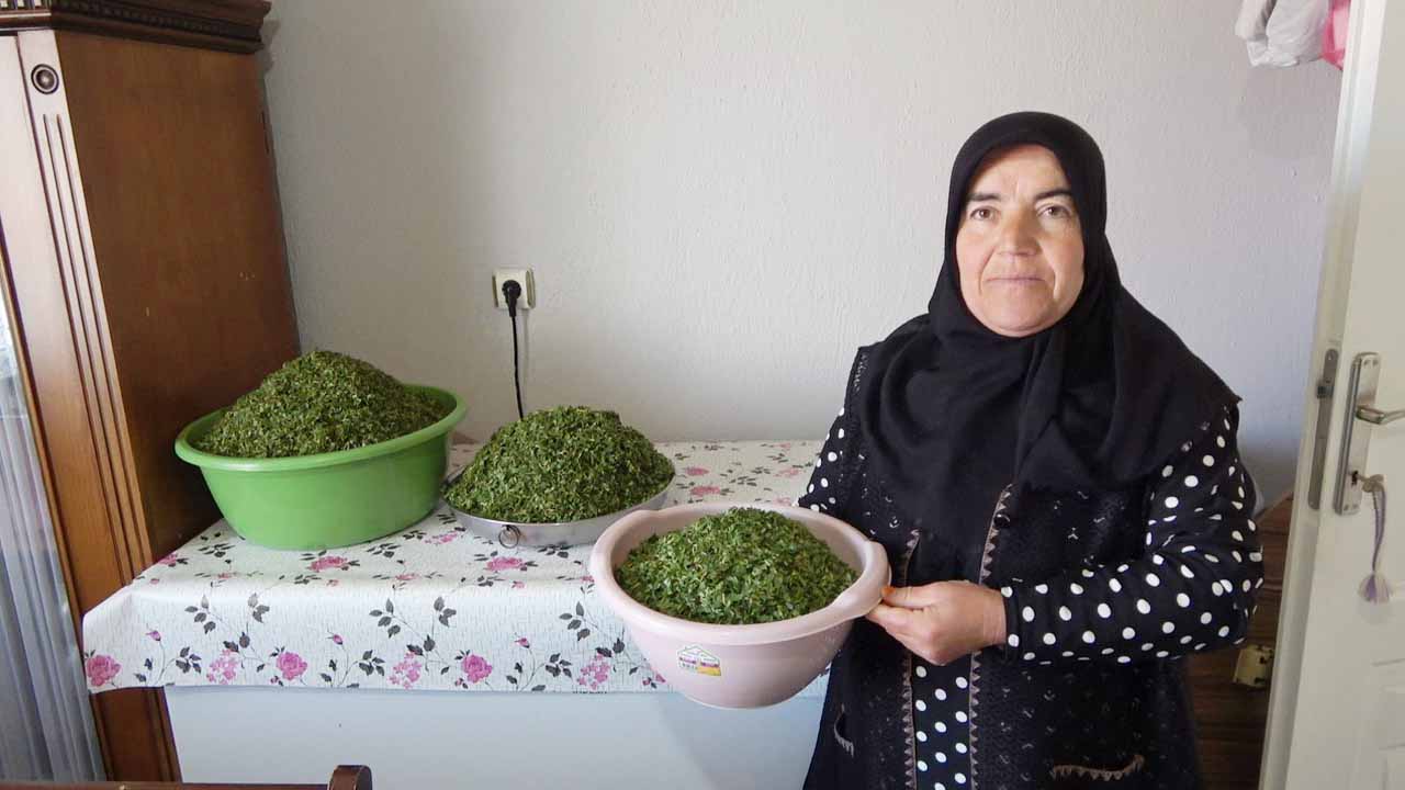 Madımak