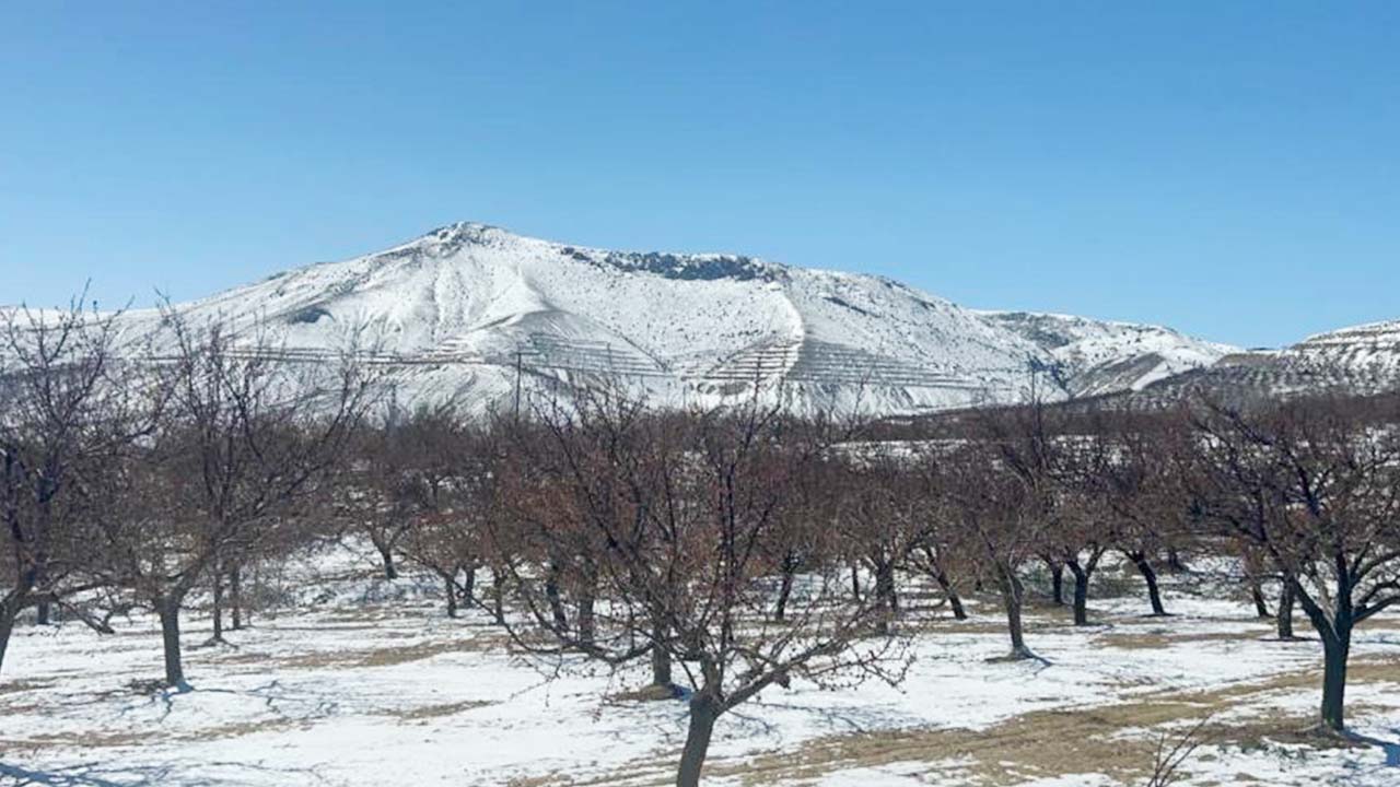 Sivas Don (4)