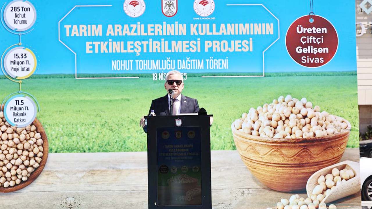 Sivas Nohut (3)