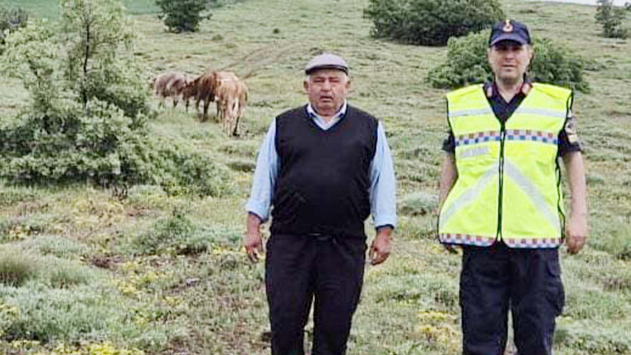 Kayıp Inek Yozgat (1)