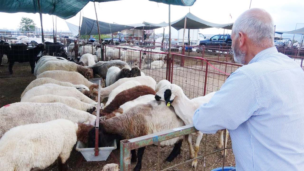 Mersin Kurban Bayramı (3)