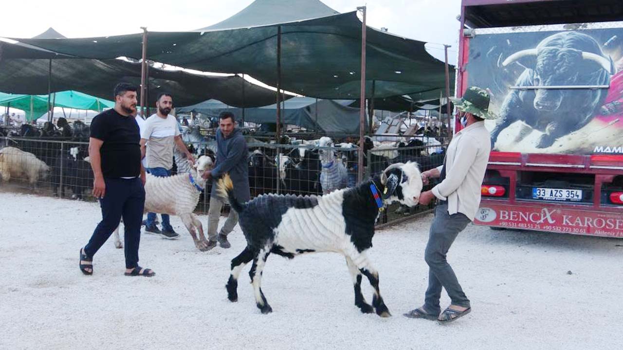 Mersin Kurban Bayramı (4)