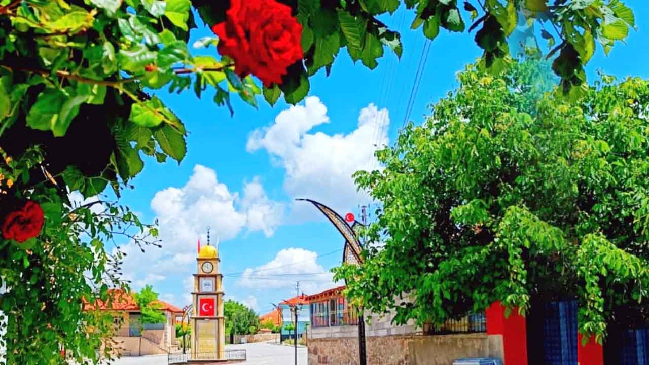 Yozgat Akdagmadeni Belekcehan Temiz 1