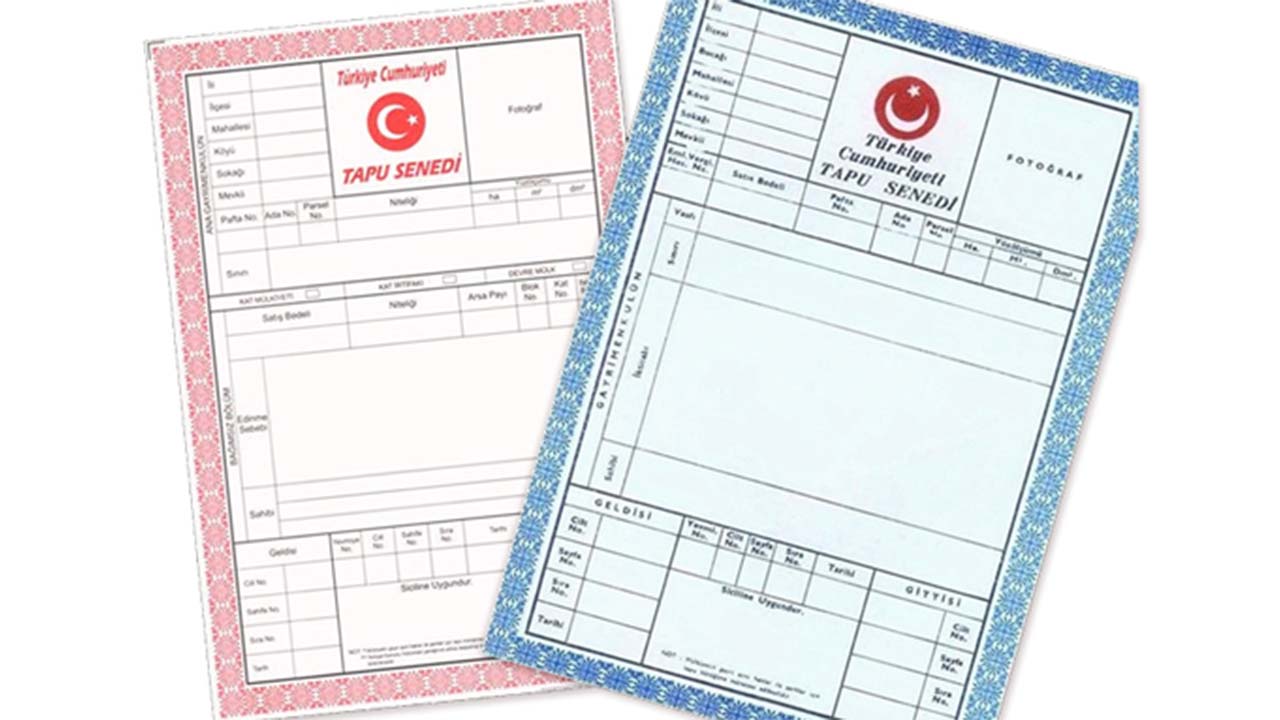 Tapu Renkleri (1)