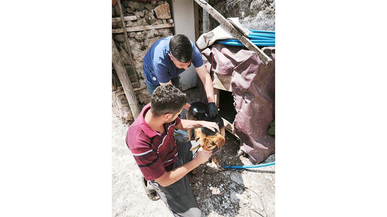 Valilik Aşı Uyarısı (2)