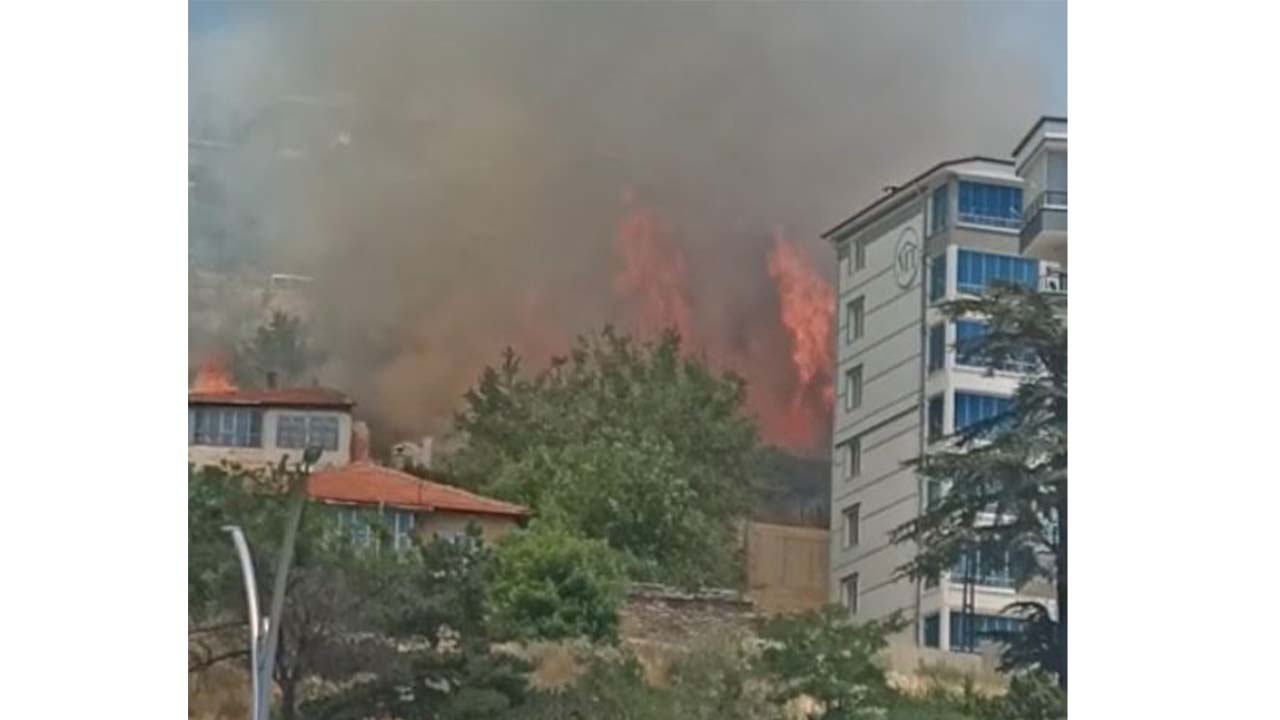 Yozgat Yangın (2)