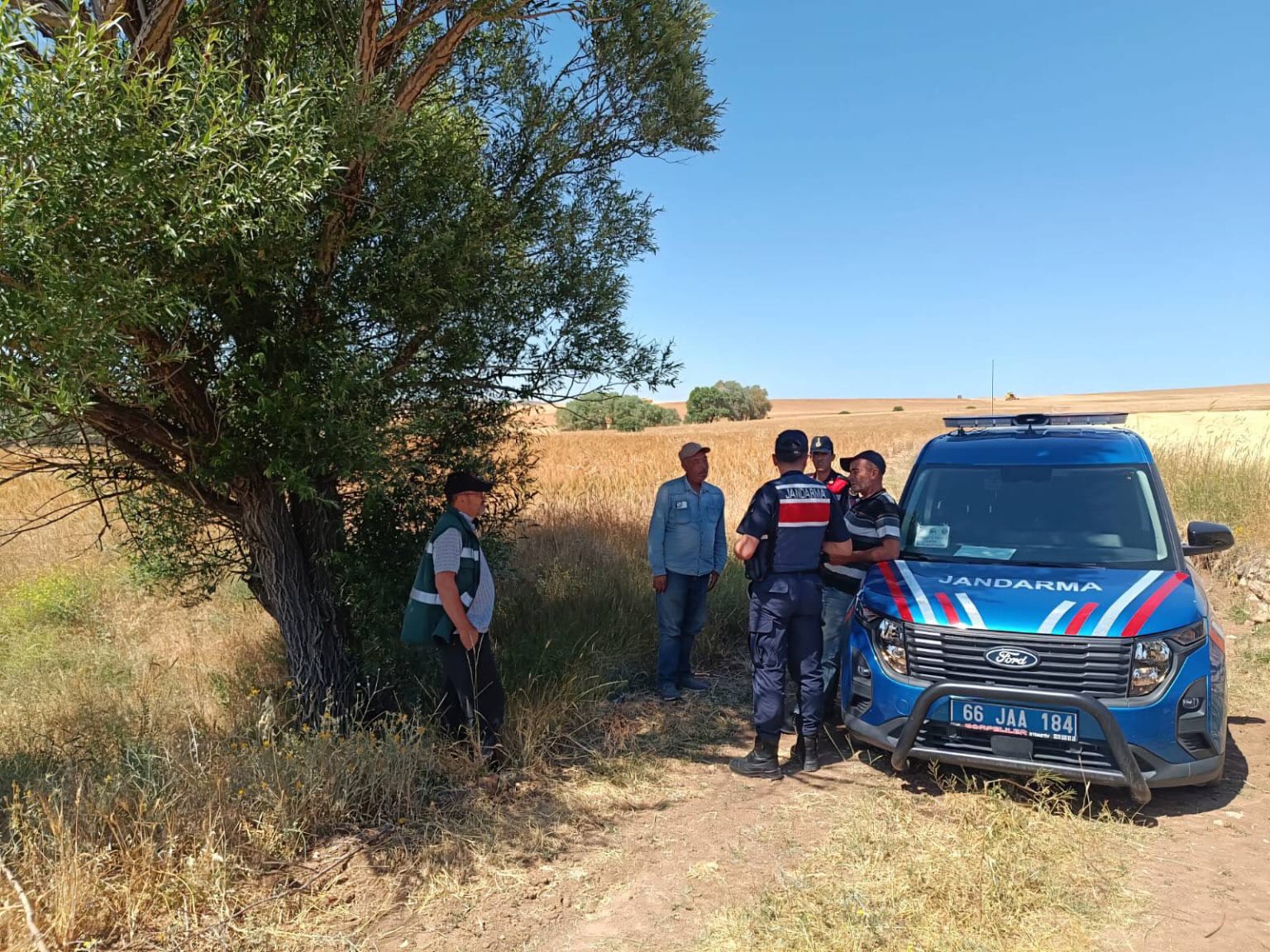 Anız Uyarısı (1)