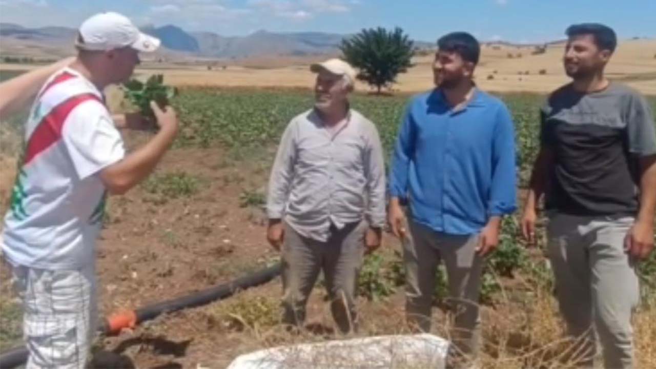 Bulgar Turist (1)
