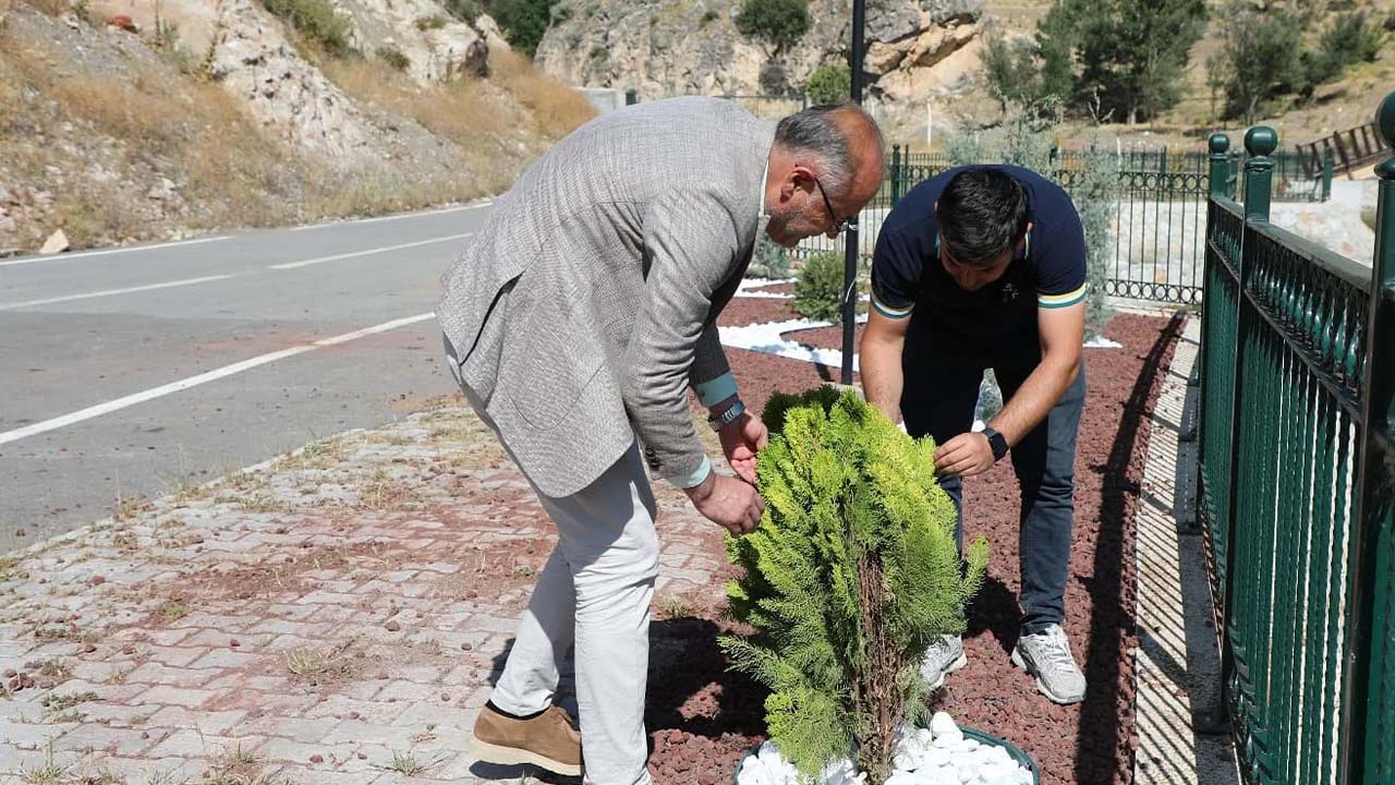 Çekerek Proje (2)