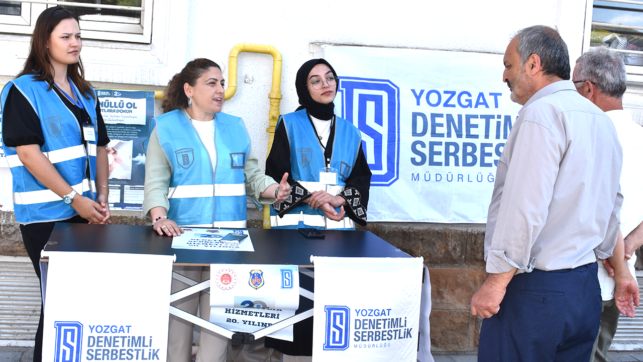 Denetimli Serbetlik