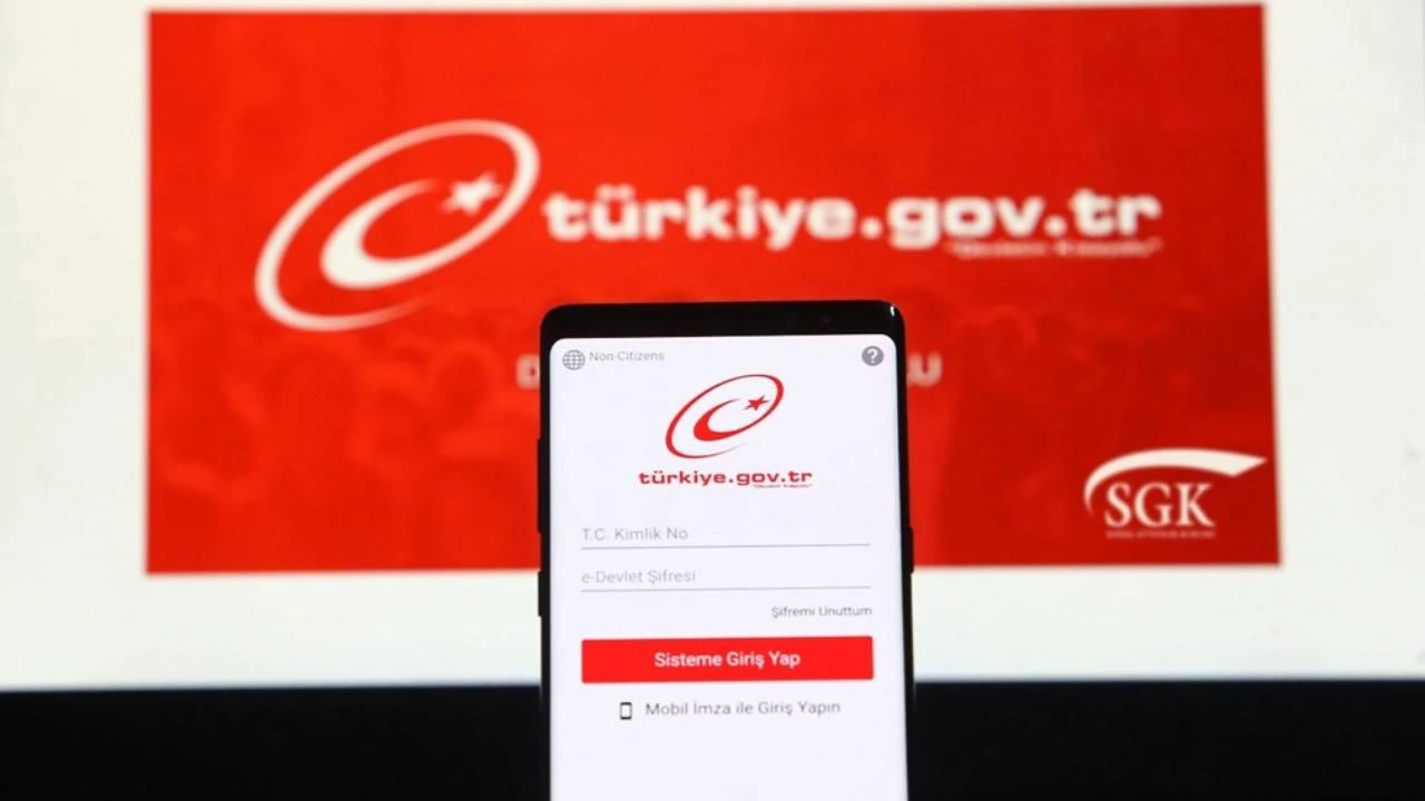 E Devlet 2
