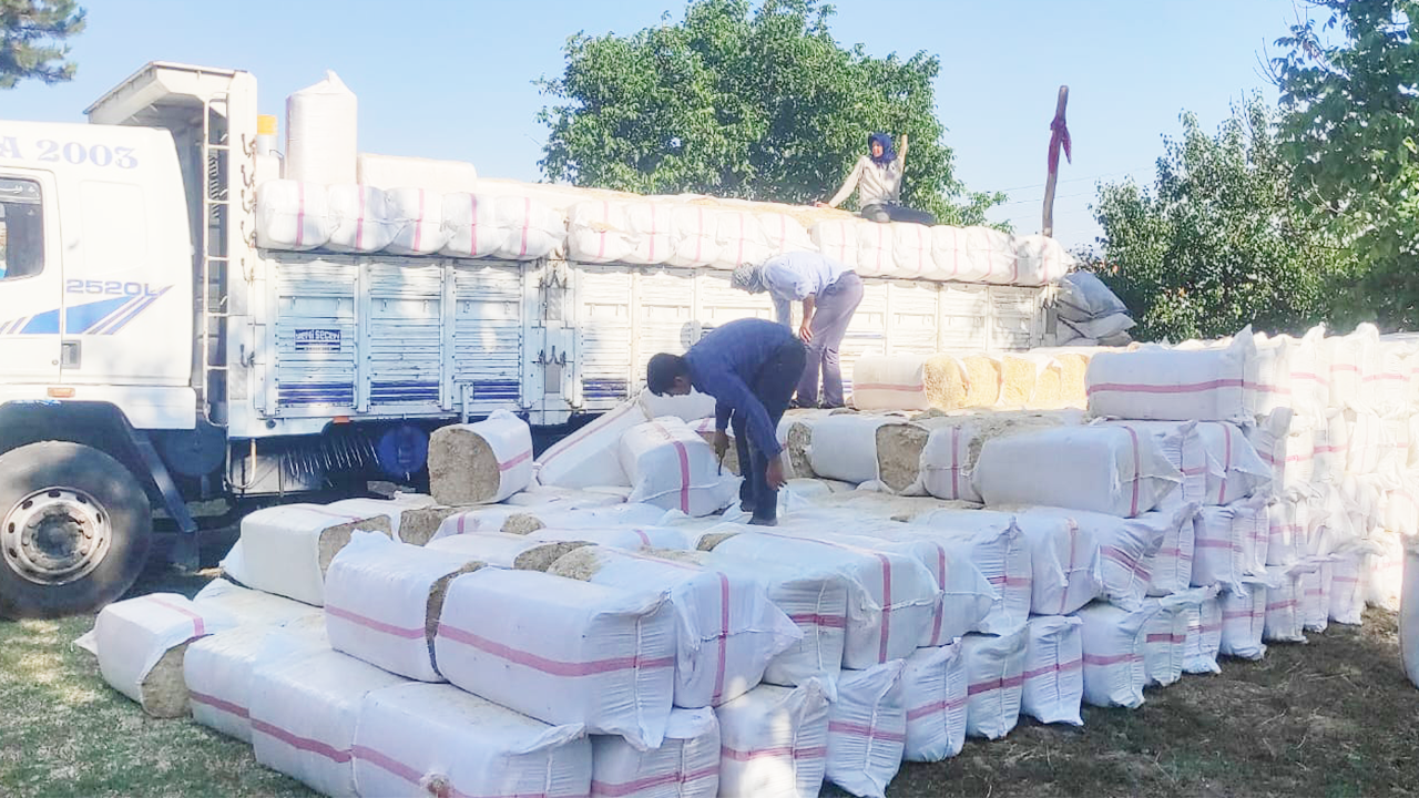 Şanlıurfa Suruç Saman Çekerek (2)