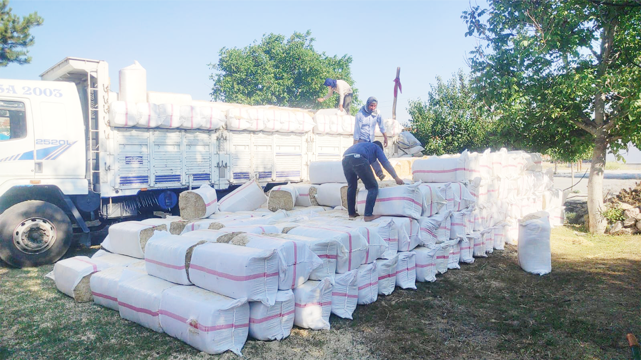 Şanlıurfa Suruç Saman Çekerek (4)