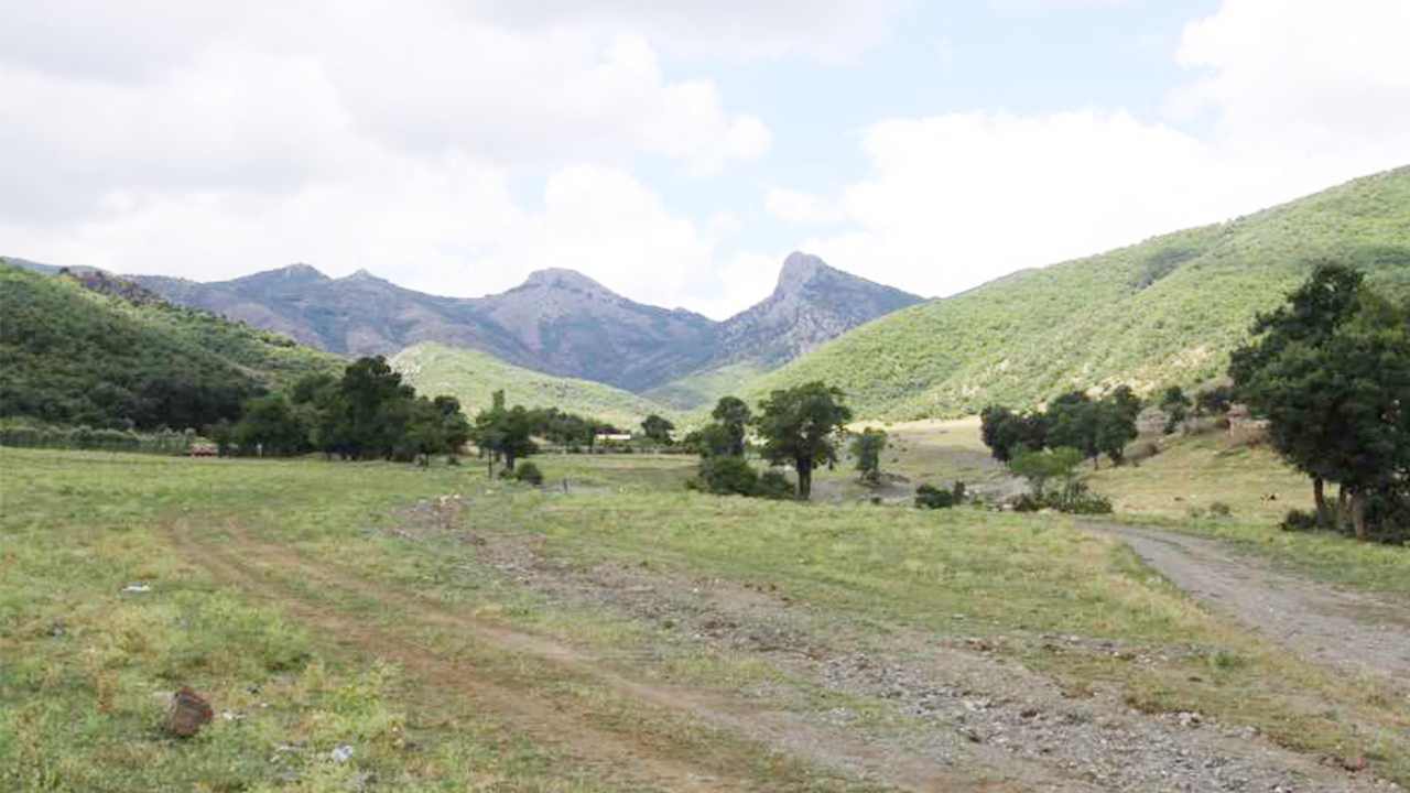 Yozgat Yayla (3)