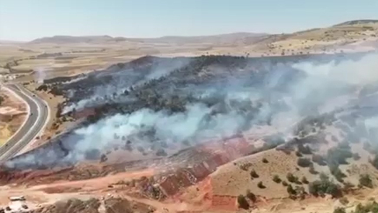 Aydıncık Anız Yangını (3)