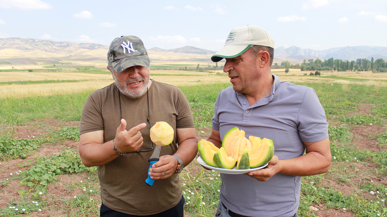Bağribütün (3)