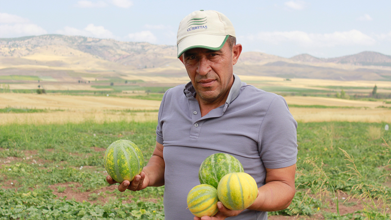 Bağribütün (6)