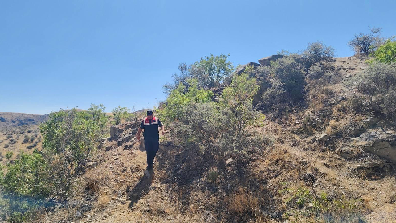Jandarma Anız (3)