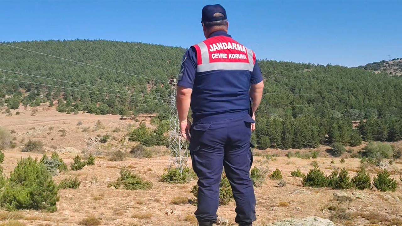 Jandarma Haydi Faaliyet (1)