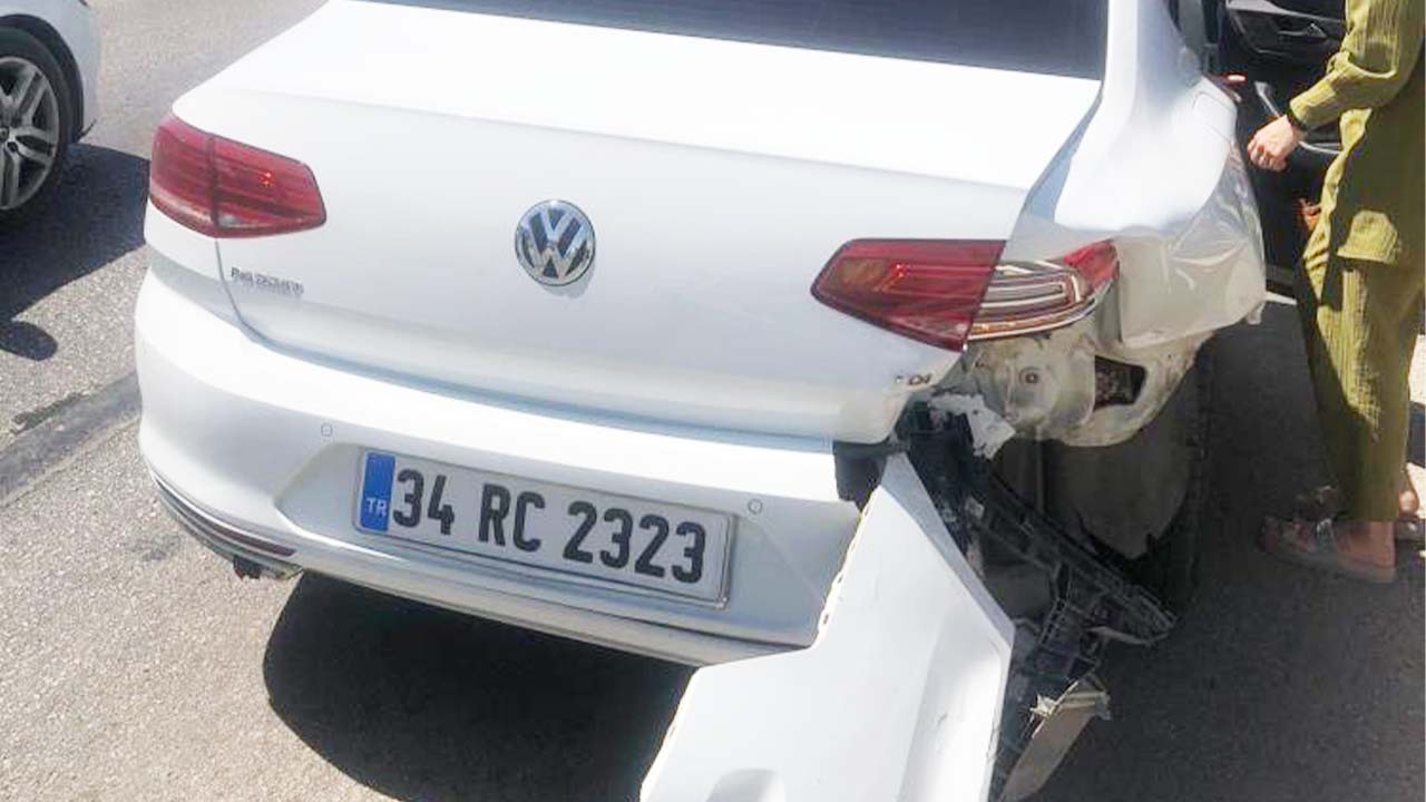 Sürücü Arı (1)