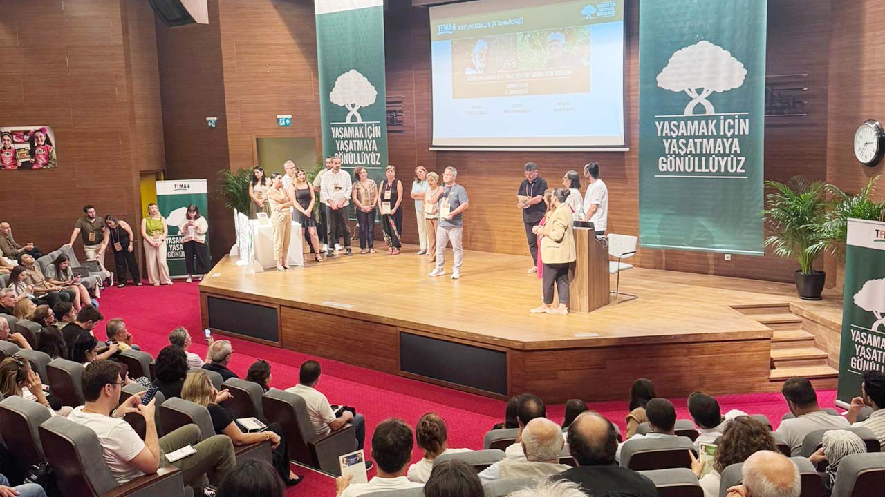 Tema Istanbul (2)