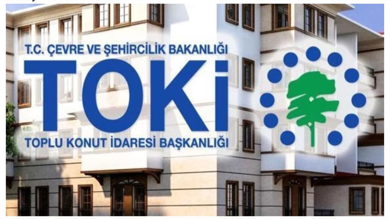 Toki-8