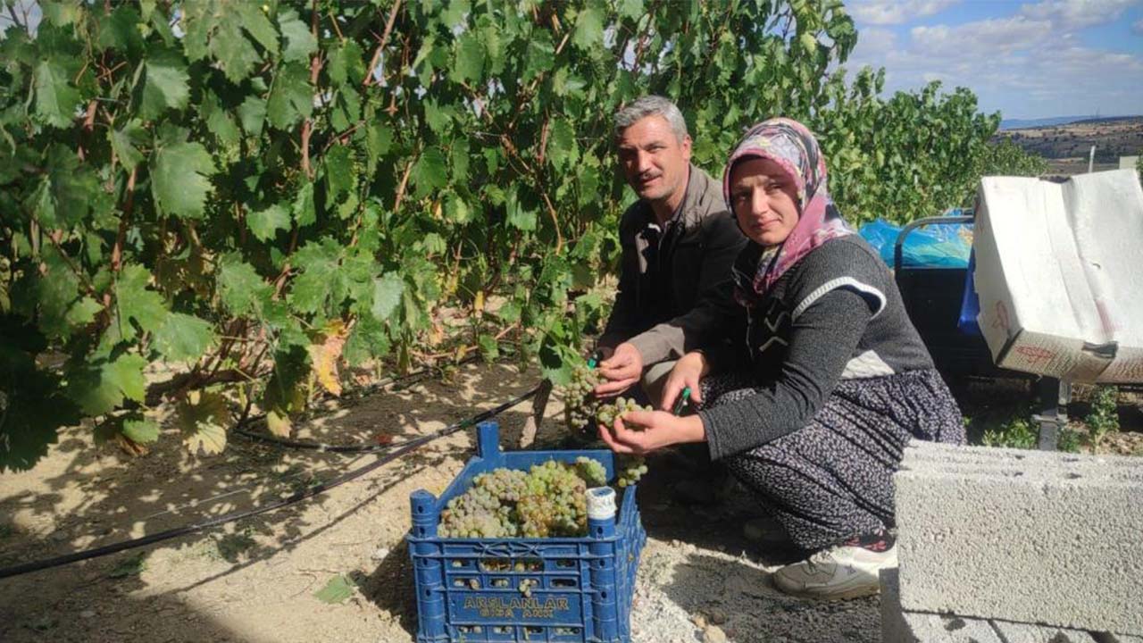 Yozgat Pekmez (3)