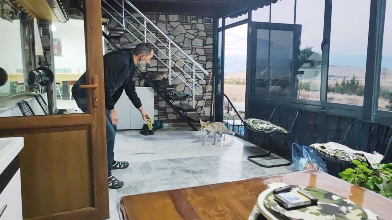 Yozgat Tilki Ev (4)