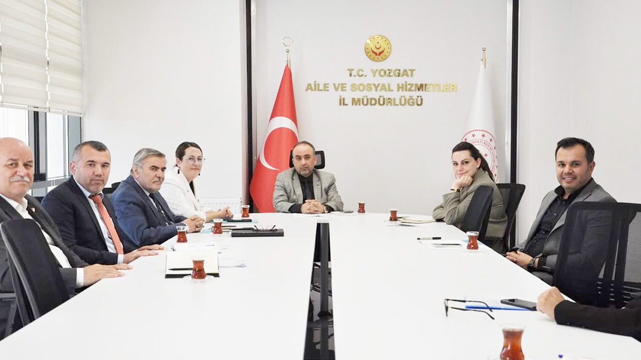 Aile1-1
