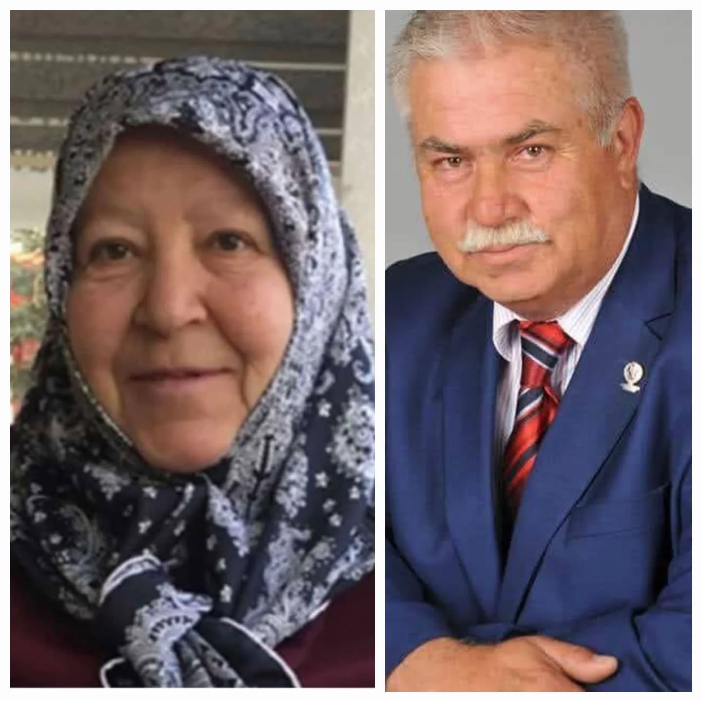 Fermude Sağlamar