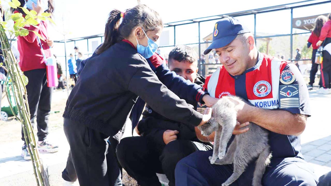 Jandarma Kedi Otel (2)
