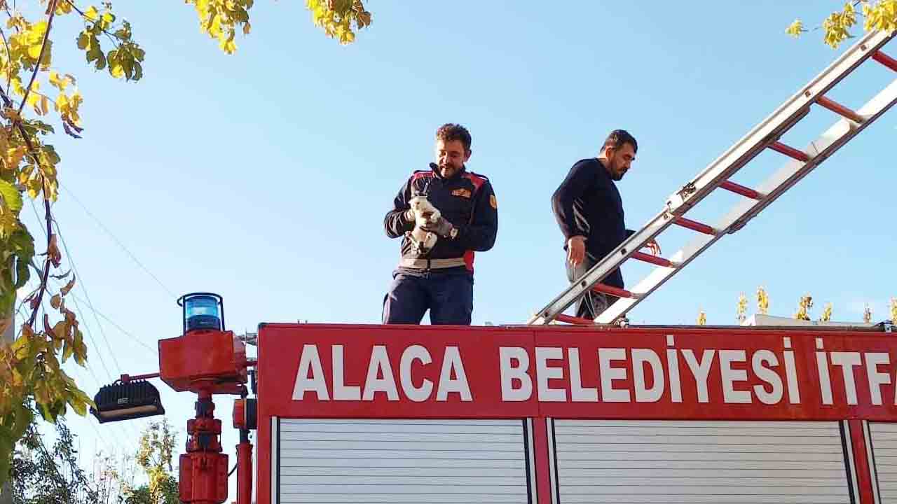 Çorum Alacada Kurtarma Operasyonu1