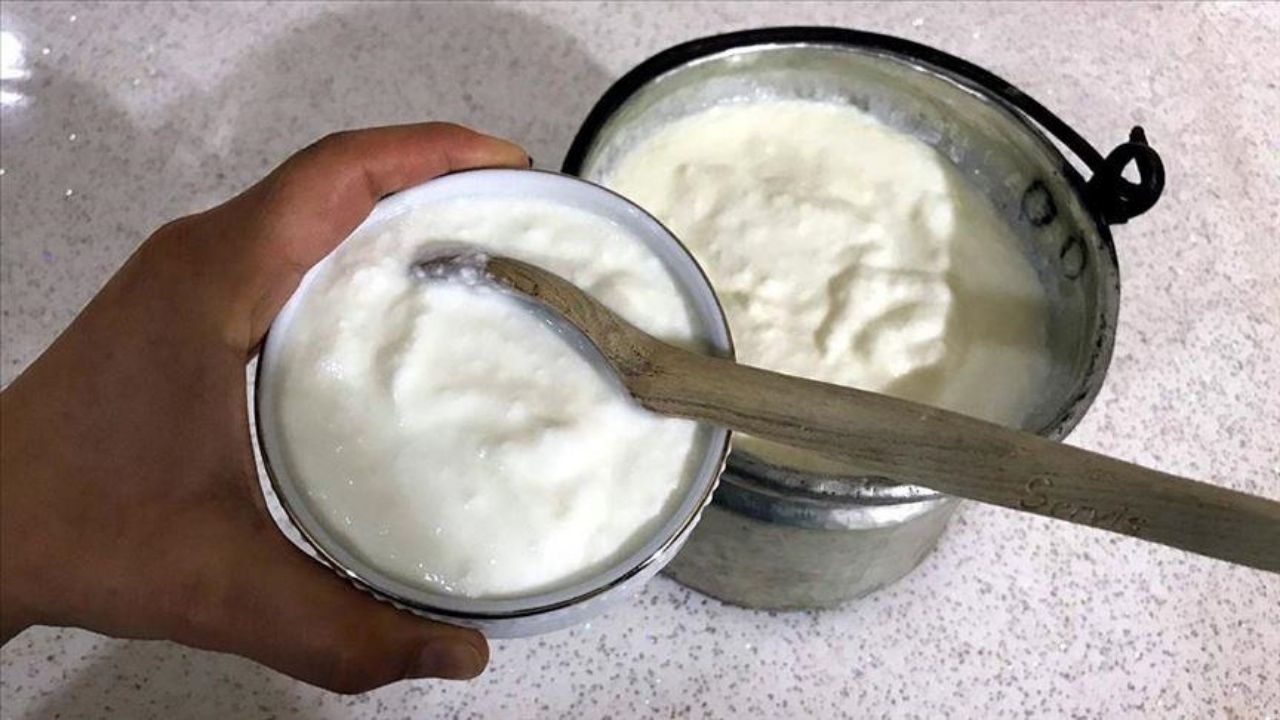 Sağlık İçin Her Gün Yoğurt Ve Kefir Tüketmeli-1