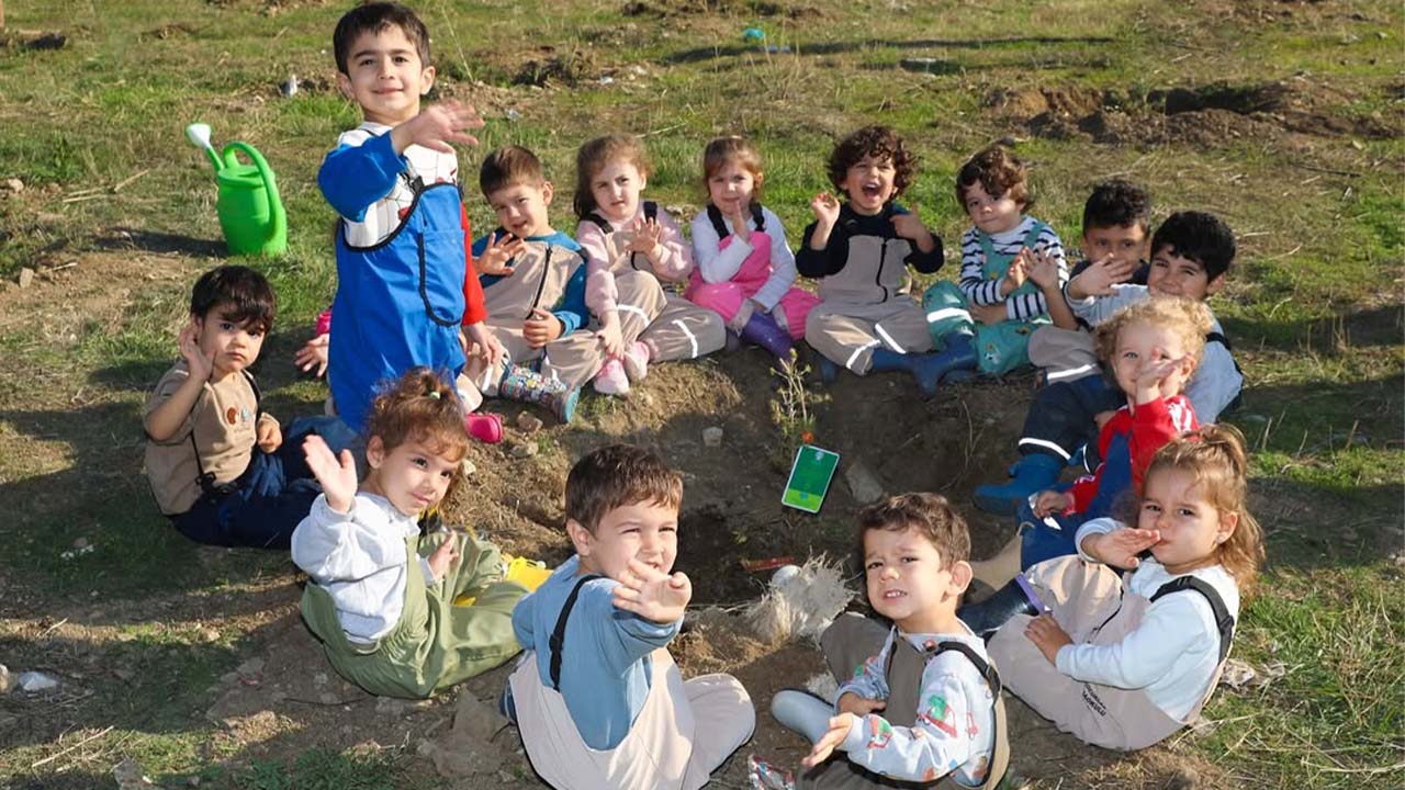 Tüek Şeker Fidan (1)
