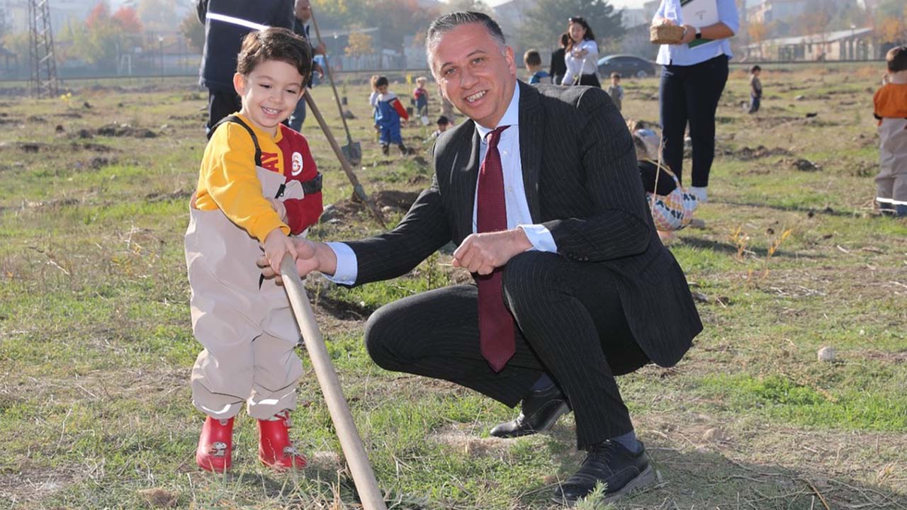 Tüek Şeker Fidan (4)
