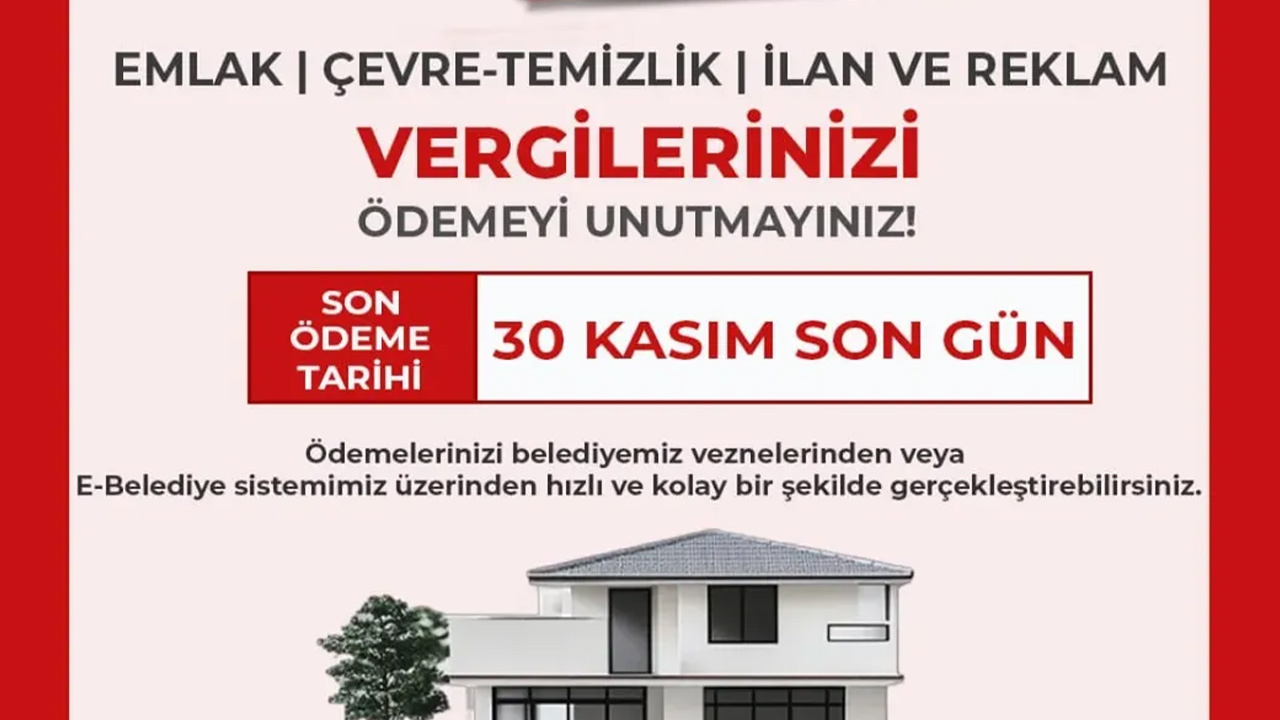 Vergi