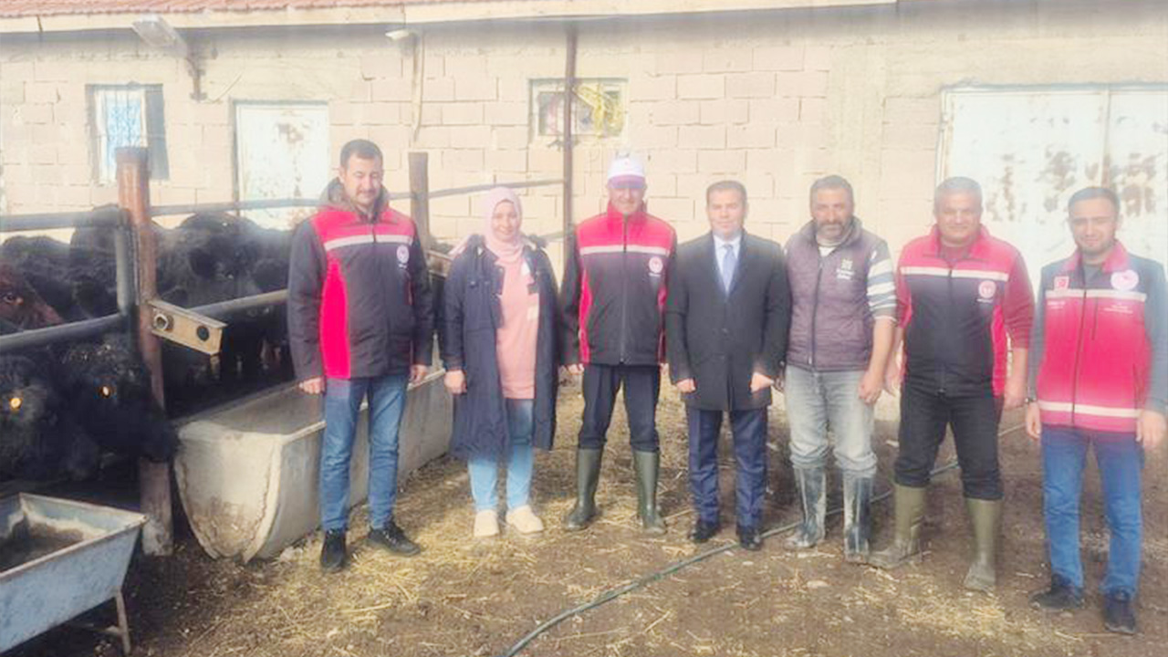 Damızlık