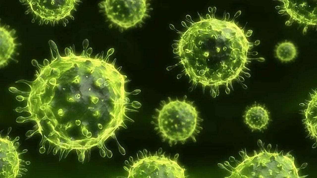 H3N2 Virüsü Yeniden Türkiye’de! Kışa Solunum Alarmıyla Girdik-1