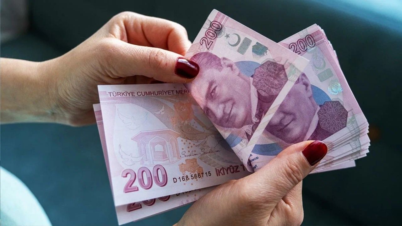 Vatandaşlık Maaşı İçin Geri Sayım Başladı-2