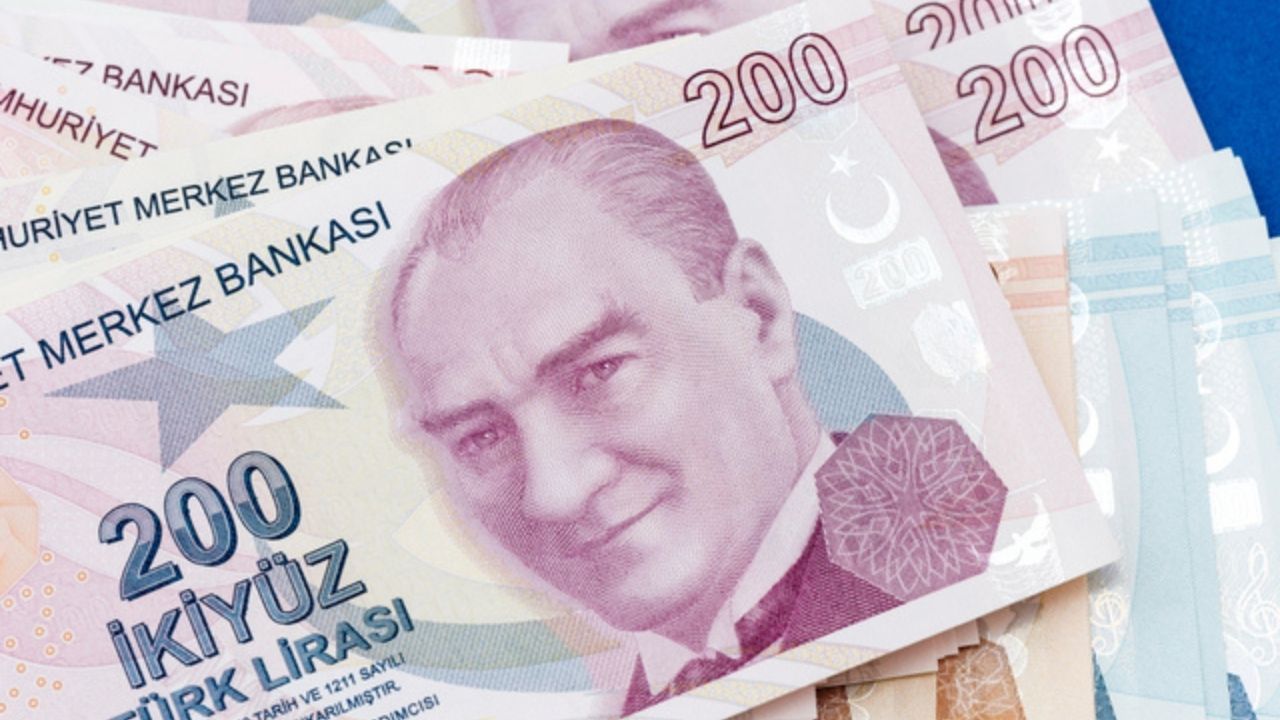 Vatandaşlık Maaşı İçin Geri Sayım Başladı-3