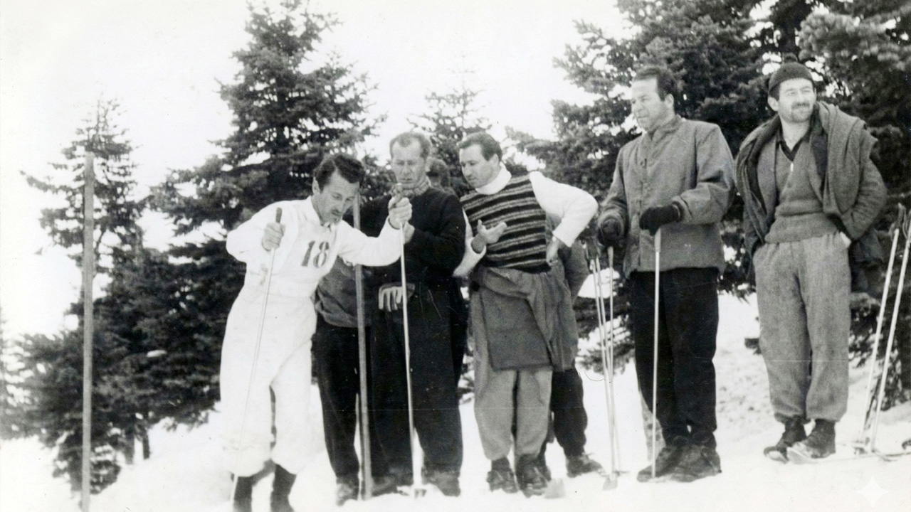 Yarış
