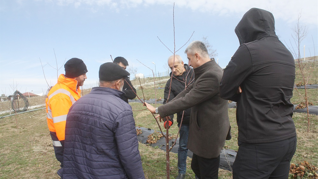 Budama Eğitimi (2)
