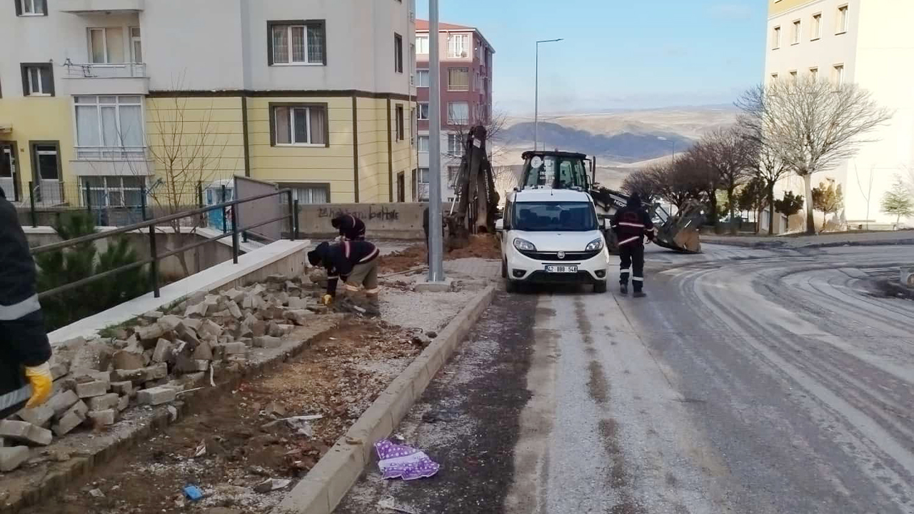 Çapanoğlu2