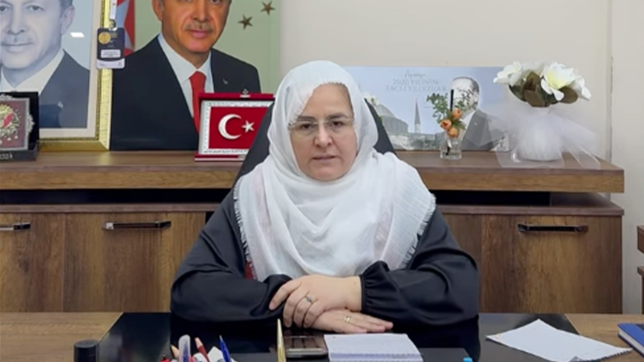 Hati̇ce Sari
