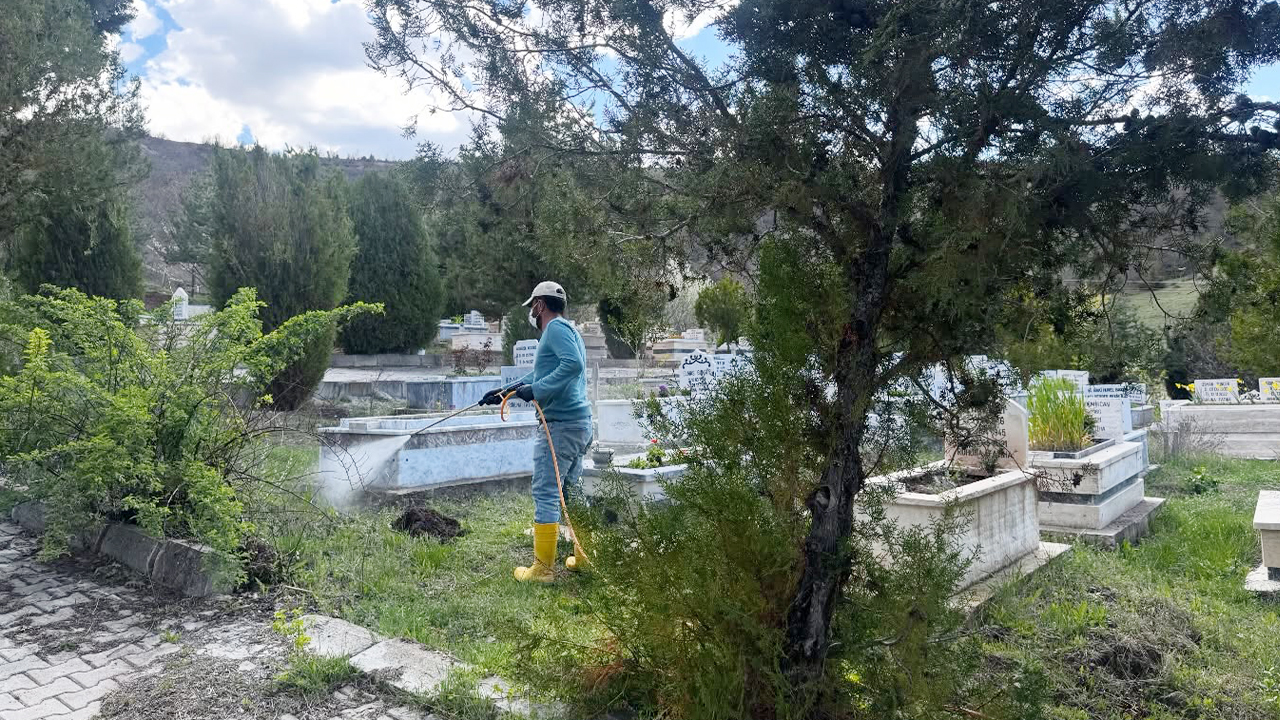 Aydıncık’ta Çevre Seferberliği (1)