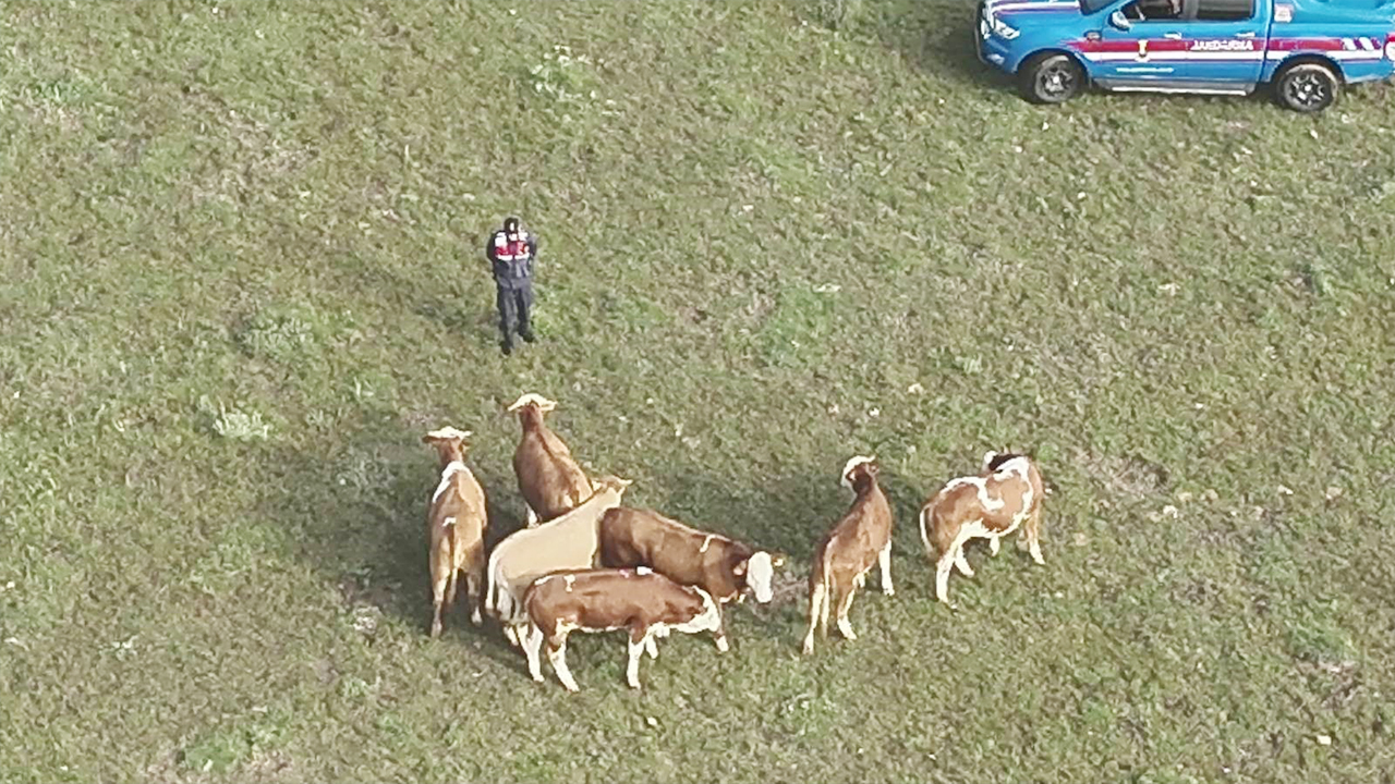 Yozgat’ta Hayvanları Kaybolan Vatandaşın Imdadına Jandarma Yetişti (1)