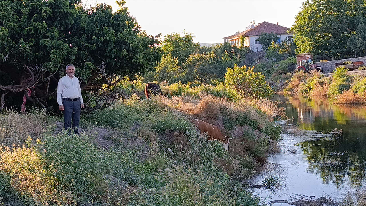 yilanlar