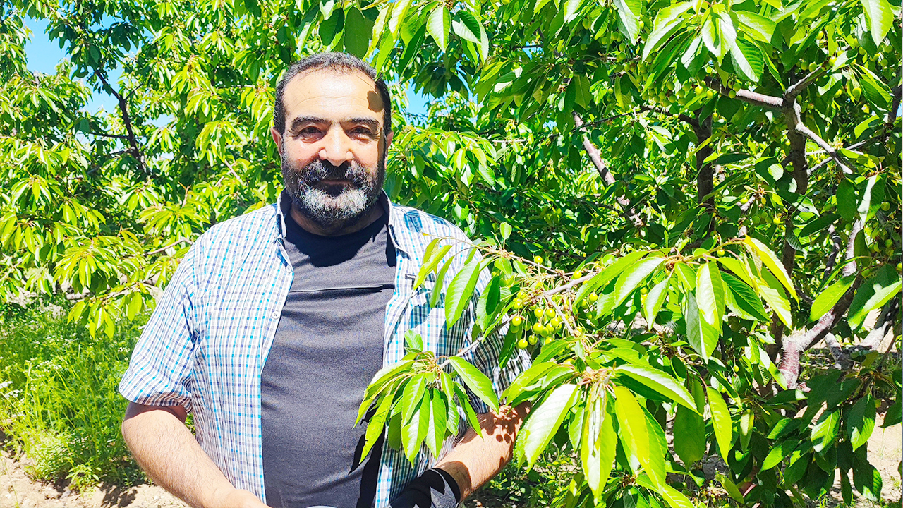 Kiraz (1)